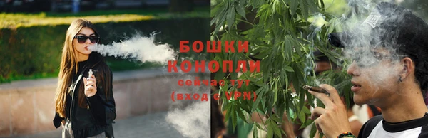 spice Алексеевка