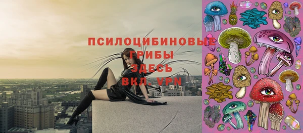spice Алексеевка