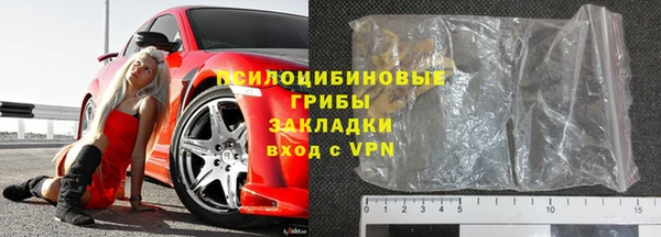 apvp Алзамай