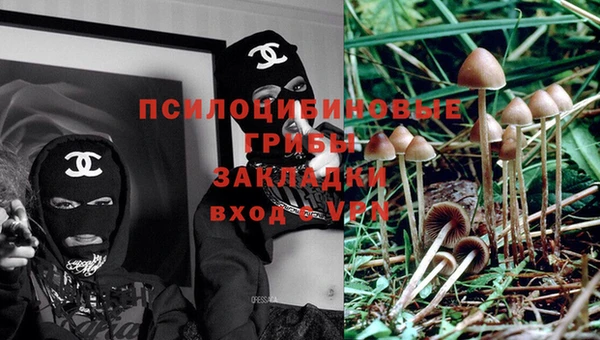 наркотики Алексин