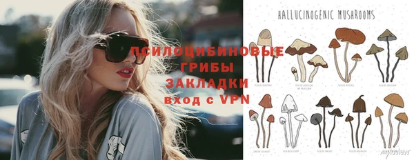 apvp Алзамай