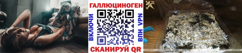 продажа наркотиков  Боготол  Псилоцибиновые грибы Psilocybine cubensis 